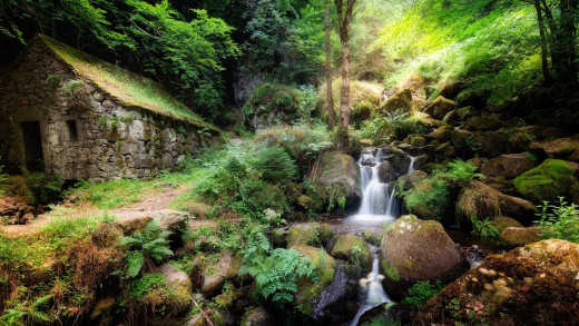 �1756891 �������(a): ����������:2048x1152